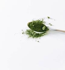 Can Spirulina help you to lose weight?