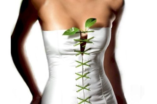 Do we gain weight eating bread? Here’s the answer!